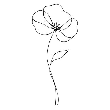 Dibujo de l&iacute;nea continua de amapola con tallo y hoja