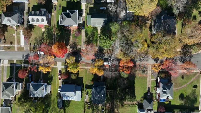 American singles family houses in colonial and craftsman design during sunny day with orange colored trees in fall. Aerial top down rising shot. Street with cars in suburb.