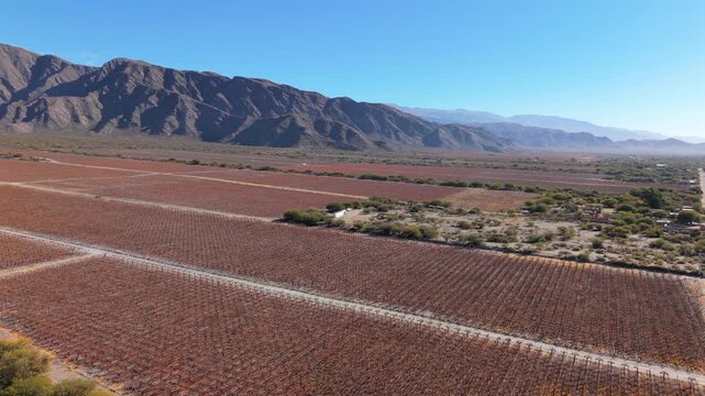 Drone panoramic shot of La Rioja vineyards surrounded by arid mountain ranges, Argentina