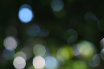 Obraz premium Softly blurred natural light creates an ethereal abstract background with shimmering bokeh circles