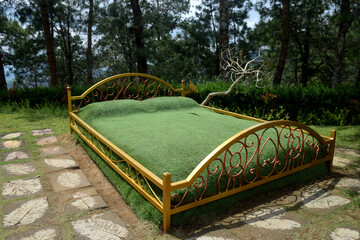 Unique grass arranged like a bed, often used as a photo object