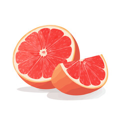 Modern flat 2D vector illustration of a Grapefruit, minimal design style on a white background.