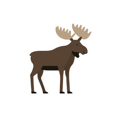 Modern flat 2D vector illustration of a Moose, minimal design style on a white background.