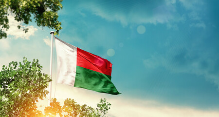 Madagascar national flag waving in the sky behind the tree. The flag blowing with beautiful...