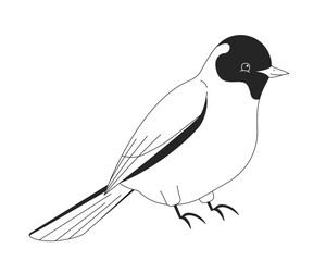 Perched white bird with black head 2D line character. Songbird in side view sitting calmly with vibrant avian wings and feathers isolated vector ink outline animal. Monochromatic spot illustration