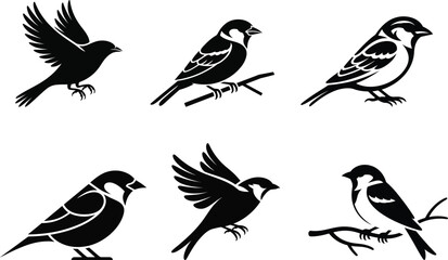 Obraz premium Six Black Silhouettes of Sparrows in Various Poses on White Background birds