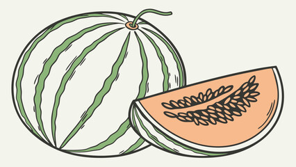 Whole watermelon and sliced melon illustration – clean hand-drawn fruit artwork for packaging menus and summer food branding
