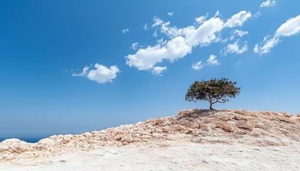 A solitary tree stands on a rocky, sun-drenched hill against a vibrant blue sky dotted with white clouds. The scene evokes a sense of isolation and natural beau