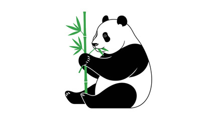Cute Panda Eating Bamboo Illustration on White Background