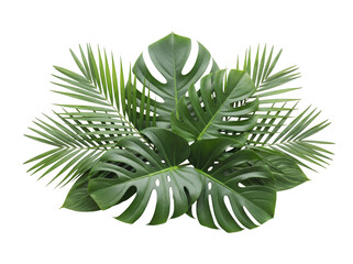 Tropical green monstera and palm leaves isolated PNG, lush foliage arrangement on transparent background for summer designs