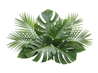 Fototapete Tropisch Tropical green monstera and palm leaves isolated PNG, lush foliage arrangement on transparent background for summer designs  © Lily