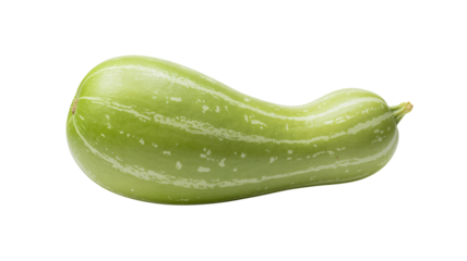 Fresh green calabash gourd ready for healthy summer recipes, a versatile ingredient for culinary creations and nutritious meals, perfect for cooking