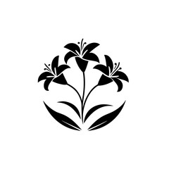 Illustration of three lilies with leaves in black and white on transparent background silhouette
