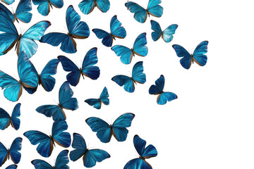 Fototapeta premium A Captivating Collection of Vibrant Blue Butterflies Enchantingly Floating isolated on transparent background , Showcasing Their Delicate Beauty and Graceful Movement in Nature.