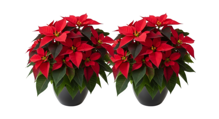 Hand Slapping Red Button, isolated on transparent background