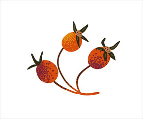 A flat branch with dog-rose berries. Cartoon twig with autumn berries drawn by hand.