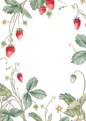 Wild strawberries rectangular Frame. Hand drawn watercolor illustration of Border with woodland strawberries and white flowers on white isolated background. Drawing for food label or cards design.