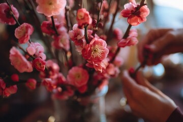 Pink plum blossoms in vase