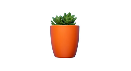 Fototapeta premium Creative concept of succulent, plant, green captured from green perspective for digital content use