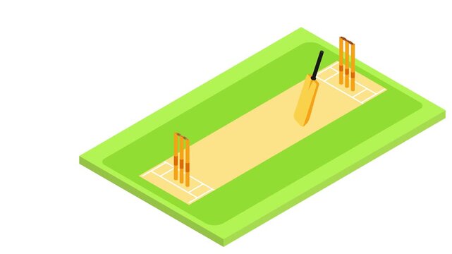 Animated Cricket Six and Bowled