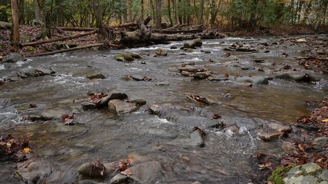 Running water in a creek