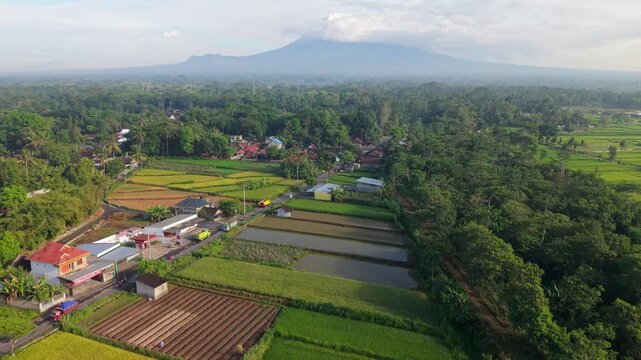 Aerial view of rice fields, houses, and lush greenery creating a vibrant landscape, with a mountain in the background, Klaten Regency, Central Java, indonesia.