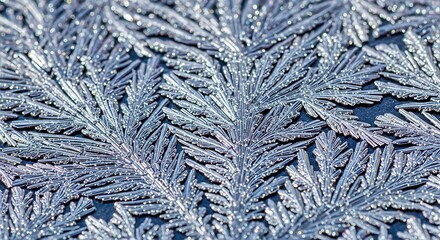 a detailed close up showcases intricate frost patterns forming delicate crystalline structures on a dark surface resembling fern like designs in winter high quality professional modern