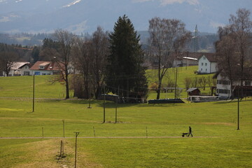 A man is walking in a field with a dog