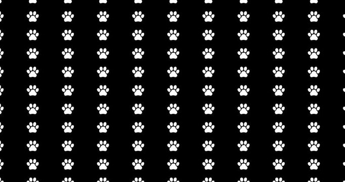Dogs and paws pattern video