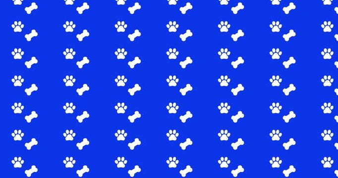 Dogs and paws pattern video