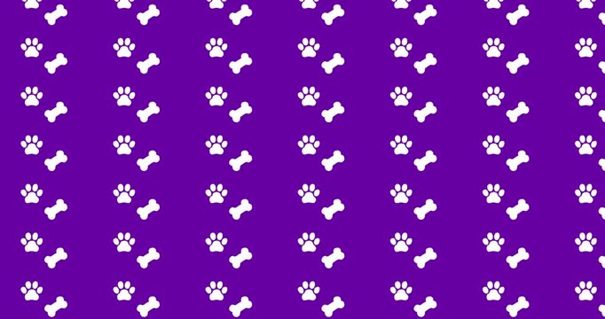 Dogs and paws pattern video