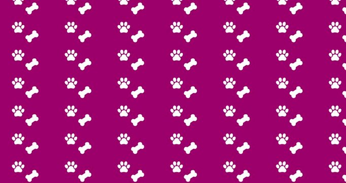Dogs and paws pattern video