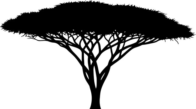 tree, silhouette, vector, black, illustration, nature, forest, plant, minimalist, simple, leafless, branches, bare, design, clean, natural, art, graphic, icon, symbol, botanical, woodland, flora, orga