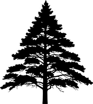 tree, silhouette, vector, black, illustration, nature, forest, plant, minimalist, simple, leafless, branches, bare, design, clean, natural, art, graphic, icon, symbol, botanical, woodland, flora, orga