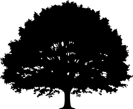 tree, silhouette, vector, black, illustration, nature, forest, plant, minimalist, simple, leafless, branches, bare, design, clean, natural, art, graphic, icon, symbol, botanical, woodland, flora, orga