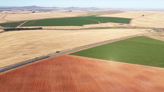 Aerial view of agricultural fields showcasing a tapestry of contrasting colors and textures, divided by a road, Malmesbury, Western Cape, South Africa.