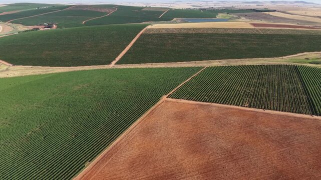 Aerial view of farmland showing vibrant green and brown crops laid out in an orderly fashion creating a patchwork quilt effect, Malmesbury, Western Cape, South Africa.