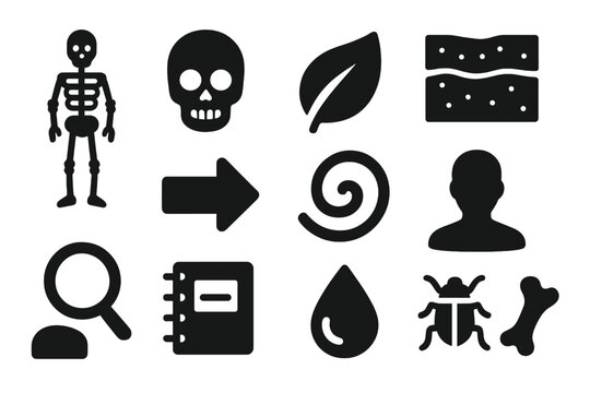 Taphonomy Icon Set. Solid style icons of taphonomy and decomposition processes: skeleton, skull, leaf, soil layer, arrow, spiral,