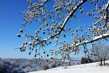 Wunderschöne Winterlandschaft auf dem Weg von der Nordhelle zur Fürwigge-Talsperre - Sauerland, NRW