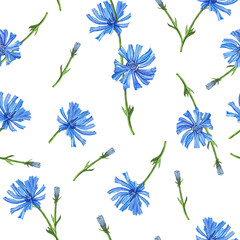 seamless pattern with blue chicory flowers, watercolor illustration for textiles, packaging, and dishes