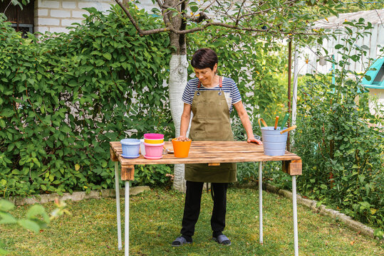 Middle age woman replanting houseplants outside