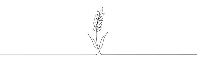 Continuous one thin smooth line simple minimalistic drawing of a wheat stalk on a white background
