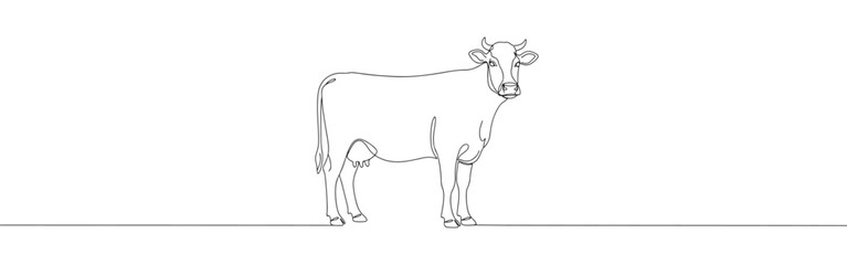 Continuous one thin smooth line simple minimalistic drawing of a standing dairy cow on a white background