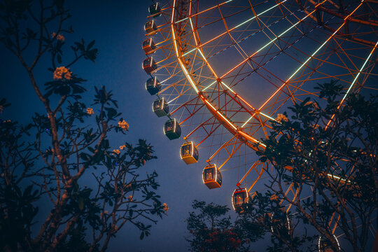 Vibrant ferris wheel at night amidst blooming trees