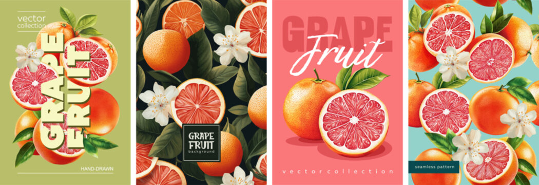 Hand drawn set of designs and patterns. Vectorized gouache illustrations. Illustrations of juicy grapefruits with flowers and leaves for poster, prints, menu, card or textile