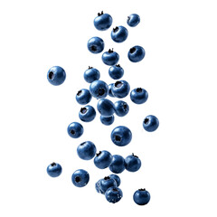 A group of blueberries floating in the air .