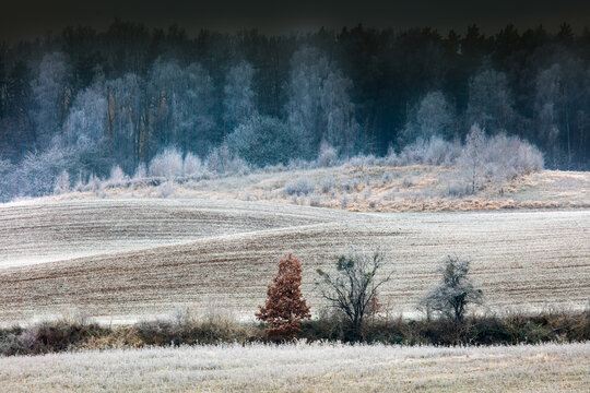 Warmia w Szronach  - Polska 