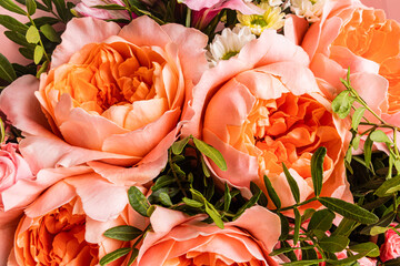 Bouquet of peach peonies with green leaves in close-up