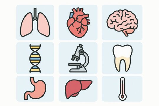 Medical icons representing human organs and scientific tools on a light background