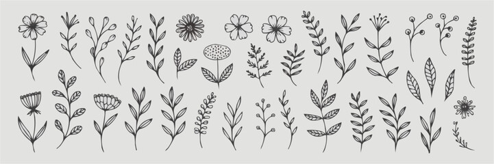 Obraz premium Floral Elegance: Intricate sketches of delicate flowers and foliage dance across the canvas, showcasing the beauty of nature's botanical art.